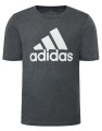 DUZY-MESKI-T-SHIRT-SZARY-ADIDAS.jpg