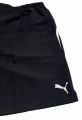 DUŻE-SPORTOWE-SZORTY-MĘSKIE-PUMA.jpg