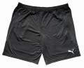 SZORTY-PUMA-REFEREE-SHORTS-MESKIE-KROTKIE-CZARNE-ACTIV.jpg