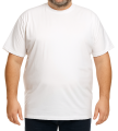 1cc9cf8b-120c-48db-bad6-77adc3c655d4.png